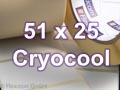 Zebra Rollenetiketten, Format 51 x 25 mm, 8000T Cryocool