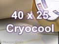 Zebra Rollenetiketten, Format 40 x 25 mm, 8000T Cryocool